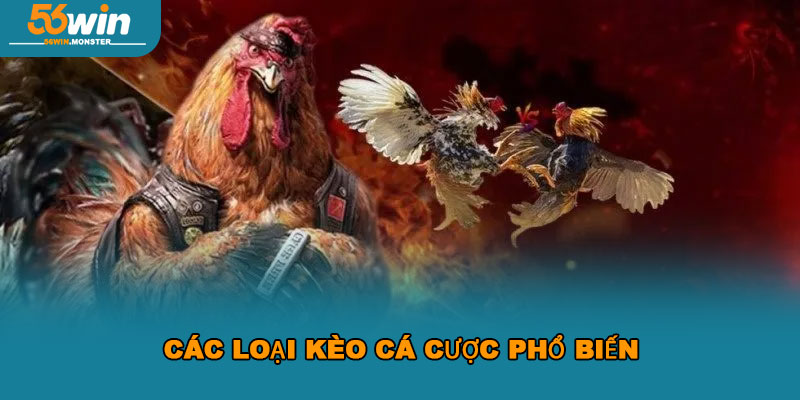 Đá gà 56win – Đỉnh cao đối kháng, nhận thưởng đậm tay ngay 2 Các loại kèo cá cược phổ biến