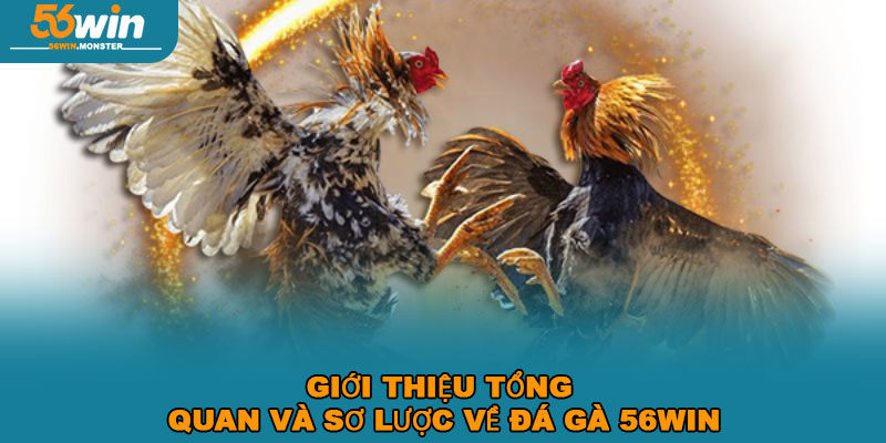 Đá gà 56win – Đỉnh cao đối kháng, nhận thưởng đậm tay ngay 1 Giới thiệu tổng quan và sơ lược về đá gà 56win
