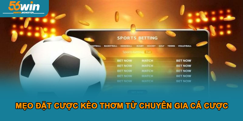 Hướng dẫn nhận diện kèo thơm để săn thưởng lớn cùng 56win 4 Mẹo Đặt Cược Kèo Thơm Từ Chuyên Gia Cá Cược
